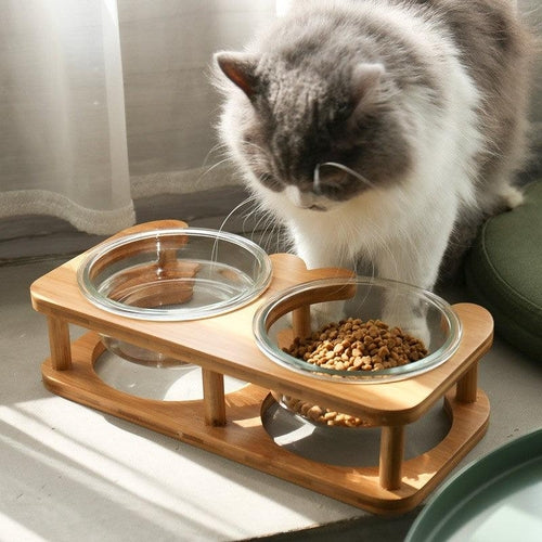 Nekomi Elegant Glass Cat Bowl Set