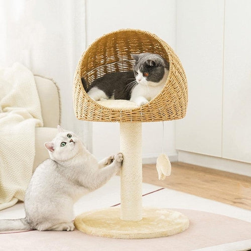 Nekomi Rustic Rattan Cat Tree