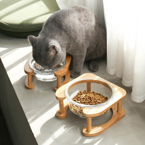 Nekomi Elegant Glass Cat Bowl Set