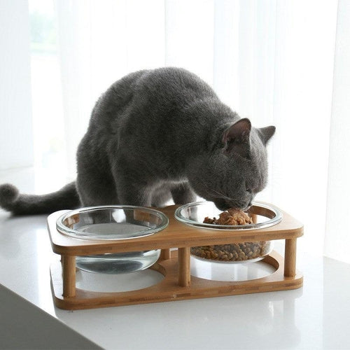 Nekomi Elegant Glass Cat Bowl Set