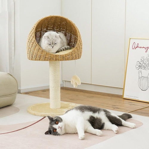 Nekomi Rustic Rattan Cat Tree