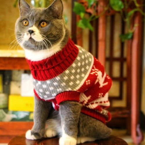 Nekomi Cozy Winter Cat Sweater