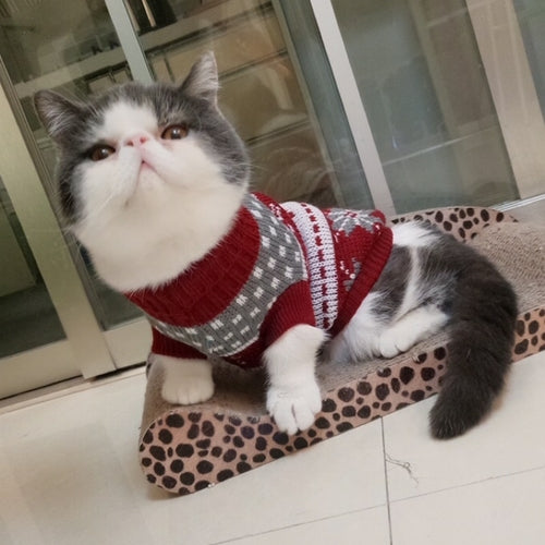 Nekomi Cozy Winter Cat Sweater