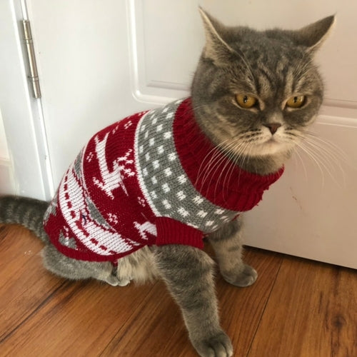 Nekomi Cozy Winter Cat Sweater