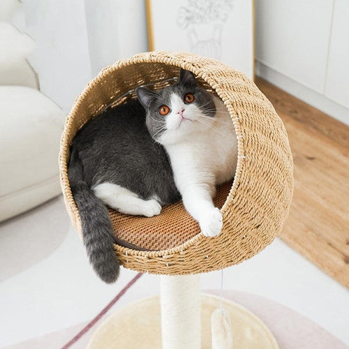 Nekomi Rustic Rattan Cat Tree